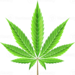 marijuana leaf illustration png