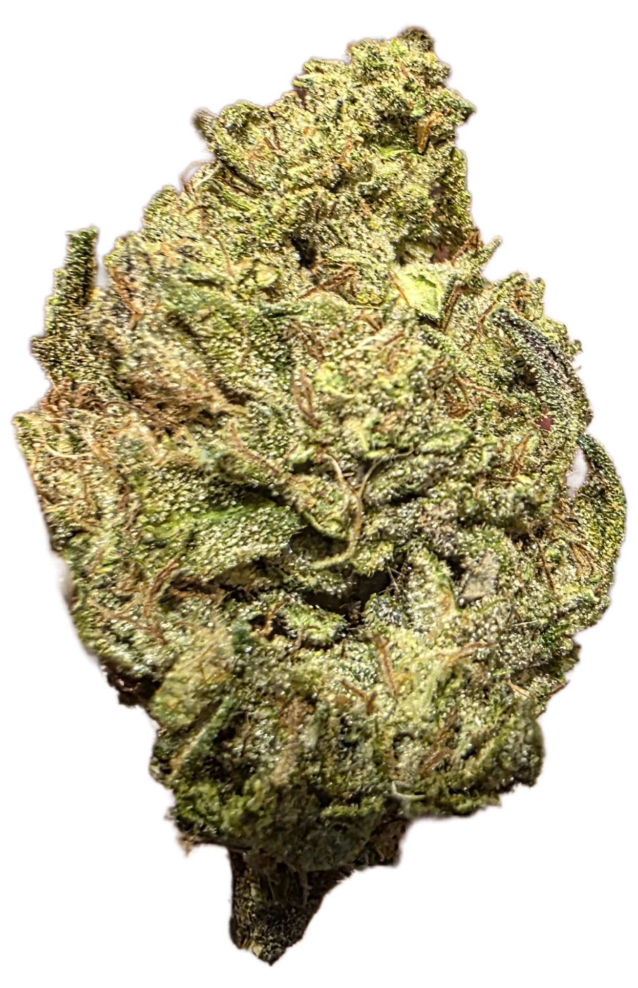 original og kush original og kush